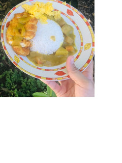 Foto resep Nasi ayam katsu kari jepang