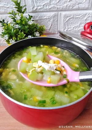 Foto resep Sup labu siam