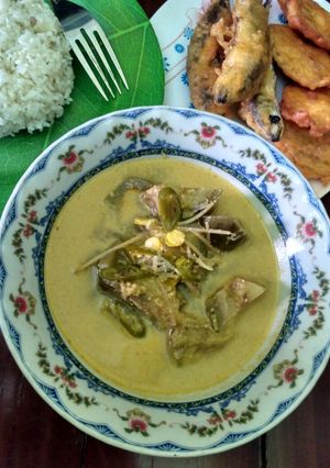 Foto resep Lodeh Terong Hijau