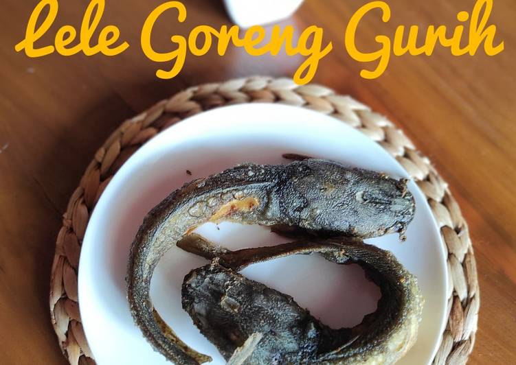 Resep 66. Lele Goreng Gurih yang Lezat