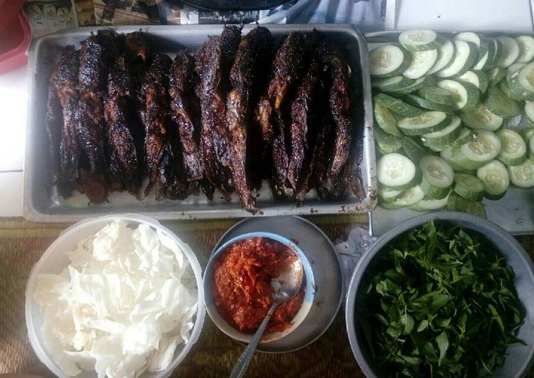 Langkah Mudah untuk Menyiapkan Lele bakar 🐟, Enak Banget