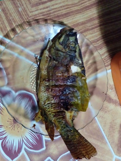 Foto resep Pepes Ikan Nila Teflon ala Ibuku