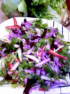 A picture of Colourful salad.