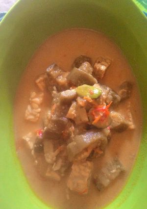 Foto resep Lodeh TTP (Terong Tempe Pete)