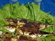 Gambar ikan dencis bakar