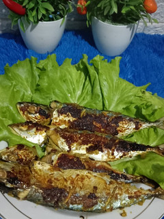 Foto resep Ikan Dencis Bakar Ala padang