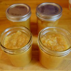 A picture of Applesauce.