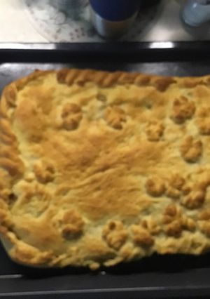 A picture of Braised cabbage pie.