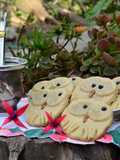 Galletas búho🦉
