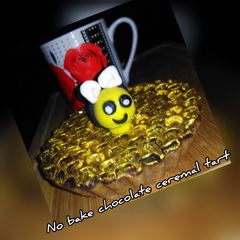 A picture of No bake chocolate ceremal tart.