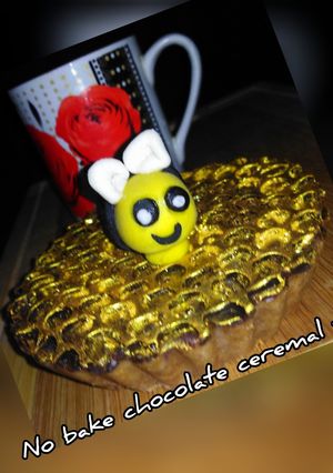 A picture of No bake chocolate ceremal tart.