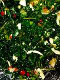 Tumis Daun Pepaya Jepang+Teri