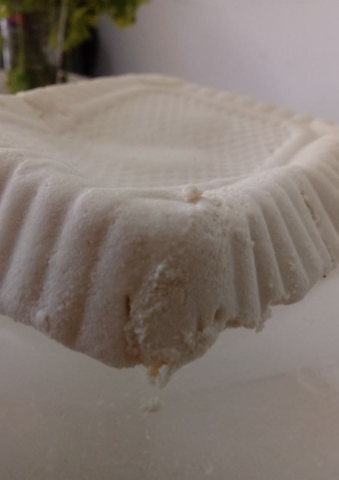 Una foto de Tofu (proteína de Soja)