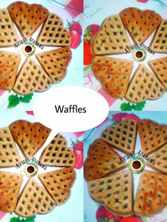 A picture of Waffles.