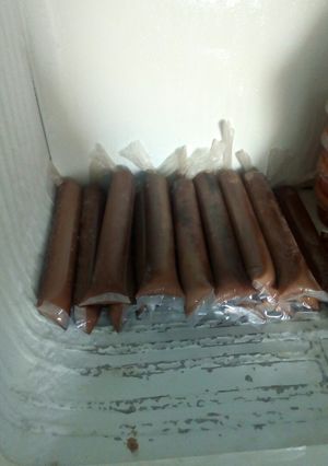 Una foto de Marcianos de chocolate