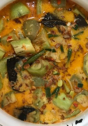 Foto resep Sayur lodeh terong lezat