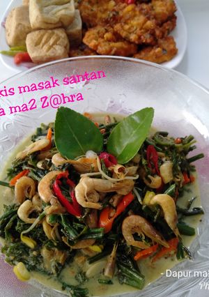 Foto resep Pakis masak santan