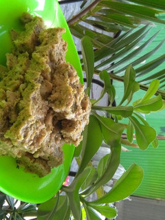 Foto resep Nugget Brokoli Mozarella