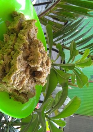 Foto resep Nugget Brokoli Mozarella