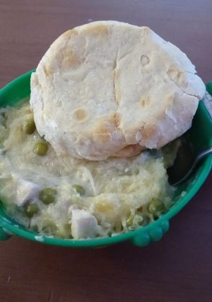 A picture of Spaghetti Squash Chicken Alfredo.