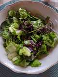 Ensalada de multi-hojas 🌱🌱