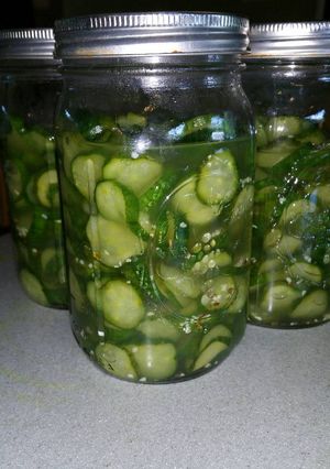 A picture of Dill Pickle Chips.