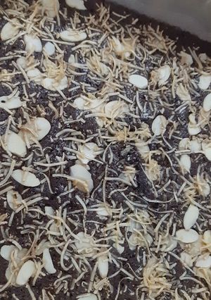 Foto resep Brownies Tanpa Pengembang(Anti gagal)