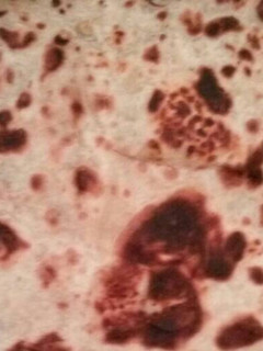 A picture of Sweet Chapati.