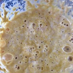 A picture of Sourdough Starter Using Apple.