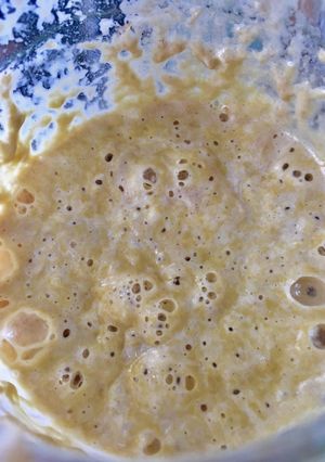 A picture of Sourdough Starter Using Apple.