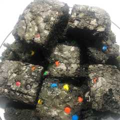 Una foto de Brownie con MyM