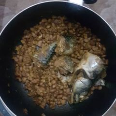 A picture of Beans and titus fish.
