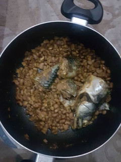 A picture of Beans and titus fish.