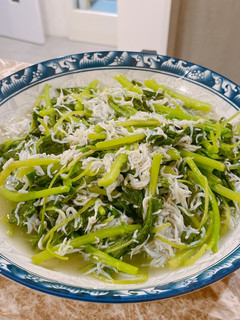 莧菜吻仔魚 的食譜成品照片