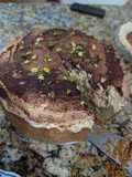 Pistachio and Pumpkin Tiramicheesecake