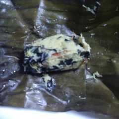 A picture of Botok sembukan udang ala bunda clarissa.