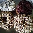 Donat jco ala ncc