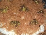 عثملية