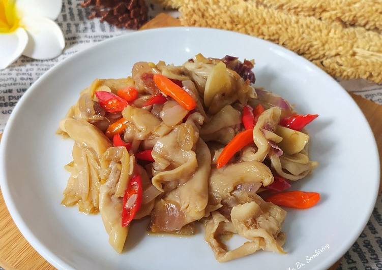 Jamur Saus Tiram