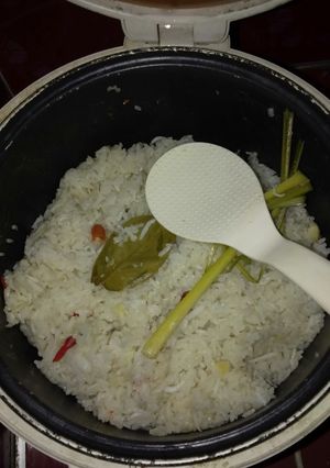 Foto resep Nasi Liwet Magicom #lupadigeprek batang sereh nya 😂