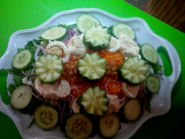 Easy Steps to Make Salad the Delicious Appealing