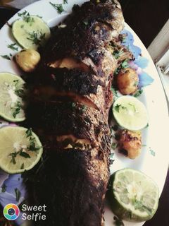صورة لوصفة 🐟🐟 سمك مشوي بالفرن 🐟🐟