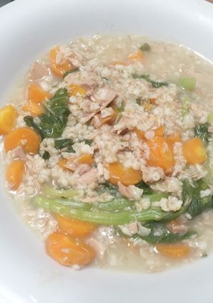 Foto resep Bubur Oatmeal Tuna Sayur