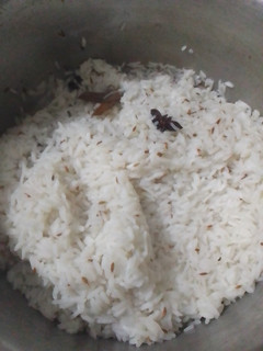 A picture of Boiled rice for Biryani 🍚🍚🍚.