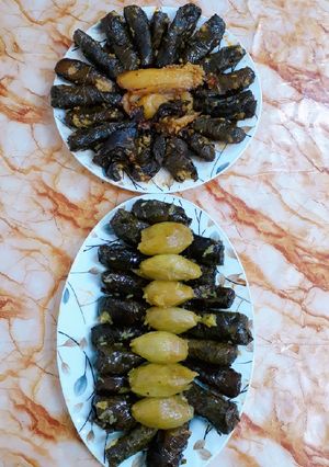 صورة لوصفة دولمه مالحه حامضه 🥘🥗