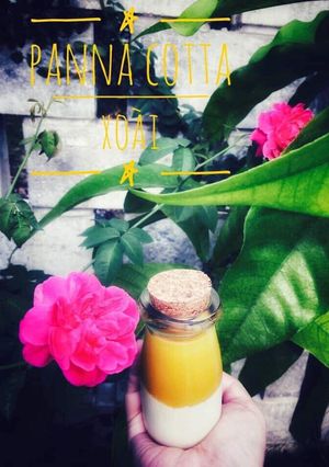 Hình của món Panacotta xoài.