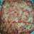 Pizza It's Us Miklos Universal lisztből