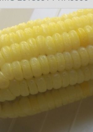 A picture of Boiled maize.