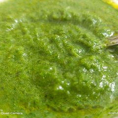 A picture of Green chutney.