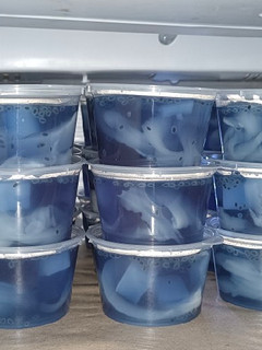 Foto resep Puding Bunga Telang Kelapa Muda Sintetis